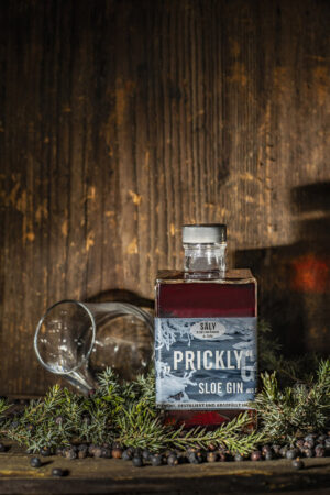 Flasche von Sälys Prickly Sloe Gin